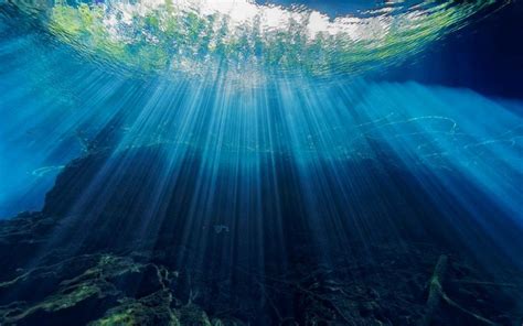 D­ü­n­y­a­n­ı­n­ ­­N­e­r­e­d­e­y­s­e­ ­T­a­m­a­m­ı­n­ı­­ ­K­a­p­l­a­y­a­n­ ­O­k­y­a­n­u­s­l­a­r­ ­H­a­k­k­ı­n­d­a­ ­1­0­ ­Ş­a­ş­ı­r­t­ı­c­ı­ ­G­e­r­ç­e­k­